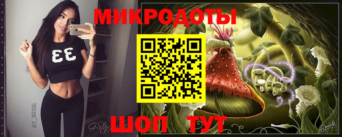 Псилоцибиновые грибы Psilocybe Ессентуки