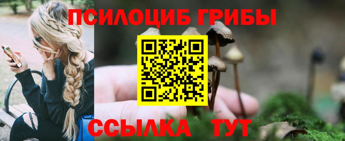 Ессентуки  Псилоцибиновые грибы Psilocybe  Псилоцибиновые грибы Psilocybine cubensis  Вход с VPN 